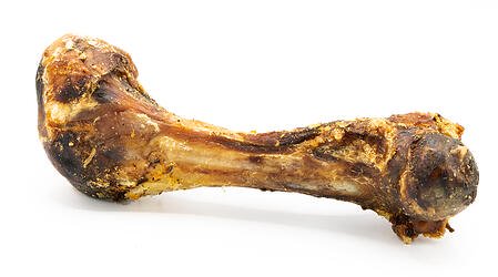 BYDB: Elk Femur Marrow Bone
